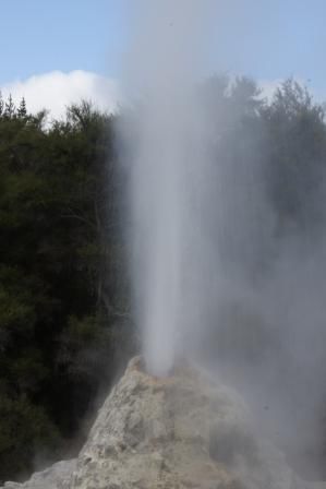 Lady Knox Geyser