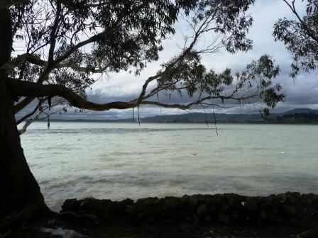 Lake Rotorua..