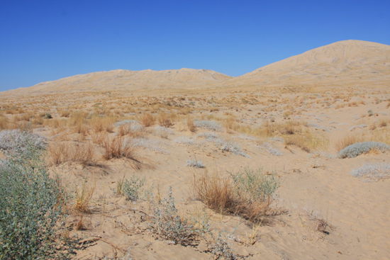 die Kelso Sanddünen