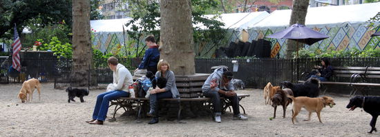 Hundespielplatz im Park