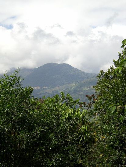 am Ngoan-Muc-Pass ca. 1500 m ue. M.