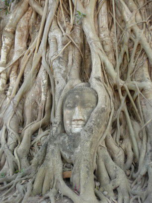 Wat Maha That