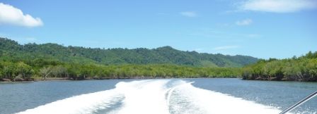 in den Mangroven um Koh Lanta