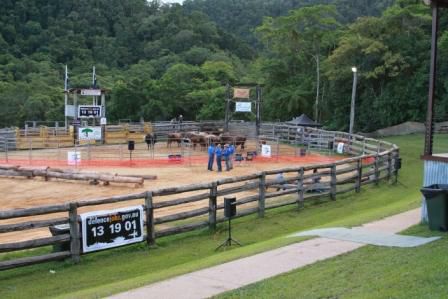 Rodeo-Stadion Open Air
