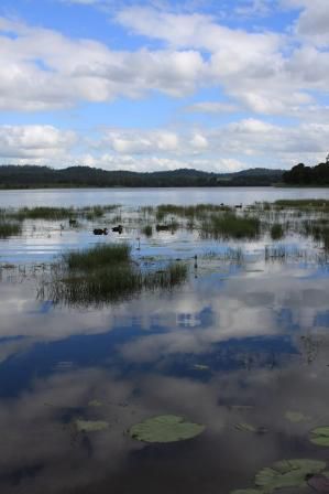 Lake Tinaroo