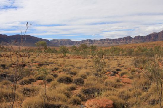 bei der Wanderung zur Ormiston Gorge