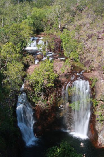 Florence Falls