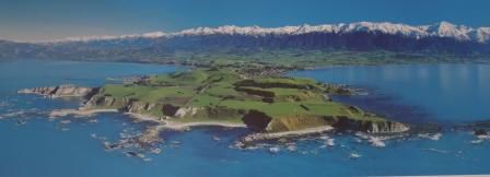 Kaikoura und die Halbinsel