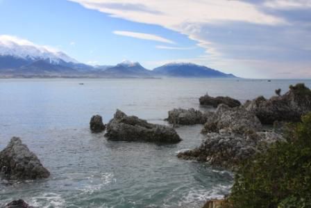 an der Kueste von Kaikoura