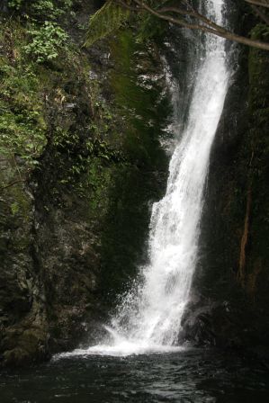 der Ohau Stream und Waterfall