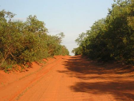 Der Weg zur Willie Creek Pearl Farm