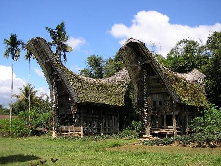 Traditionelle Toraja-Bauten