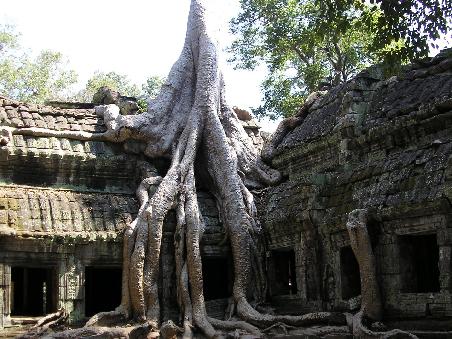 Angkor Area