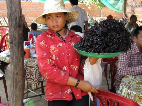 Spidervillage Sukon (Futterpause am Weg von Siem Reap nach Phnom Penh)