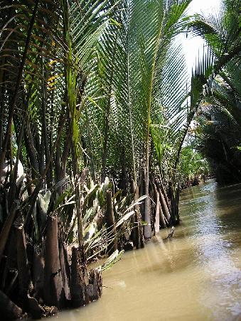 Mekong Delta
