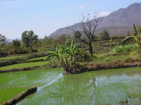 Vietnamese Landscape (stunning, breathtaking, amazing ... *ggg*)
