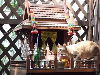 Der Altar im Chillout vom Guesthouse