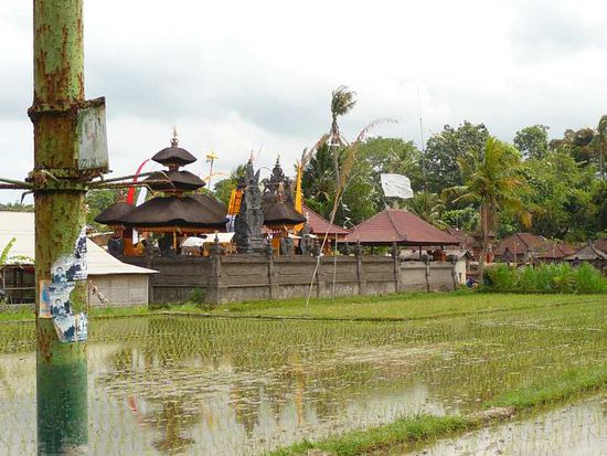 Auf dem Weg nach Ubud