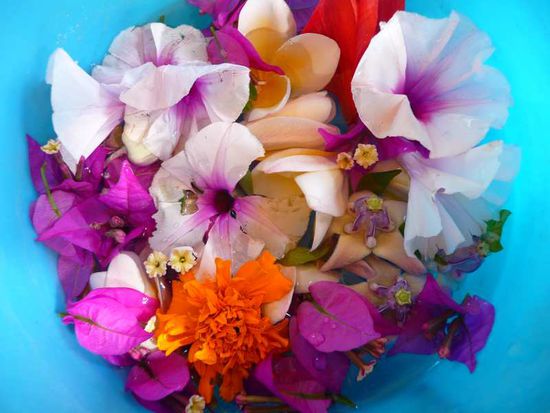 Blueten fuer rituelle Reinigung