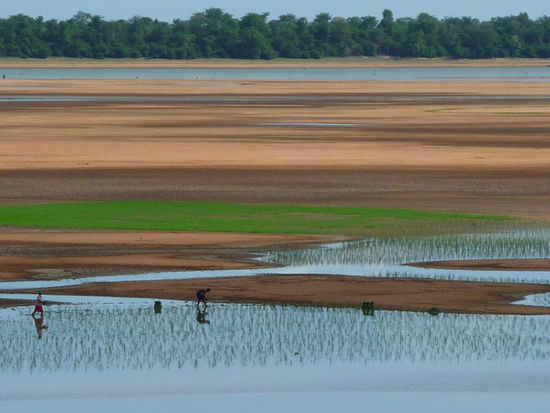 Der westliche Baray. Gute 2 km breit und 8 km lang.