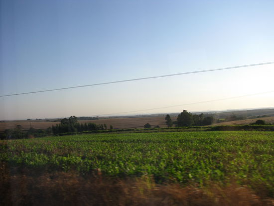 Busfahrt durch brasilianisches Farmland (nur Öpfelbäum händs nid so viel