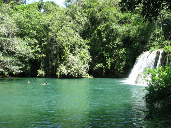 Schwimmen im Paradies