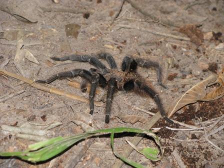 Die Nachbarschaft war oft zu Besuch in unserem Camp...