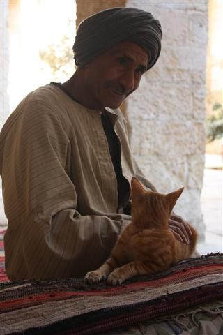 Der Ägypter, der mir netterweise den Weg durch Sabil und Kuttub gezeigt hat, mit Katze.