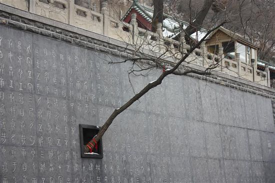 Da oben wächst sogar ein Baum aus einer Mauer heraus!