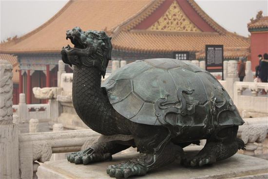 Ein Drache... nein, eine Schildkröte.. äh... eine Dröte? ein Schildrachen?