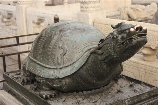Noch so eine Schildkröten-Drachenkreuzung