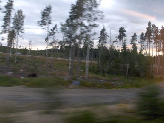 im Zug nach Narvik