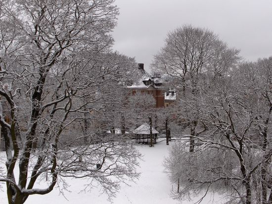 über Nacht hat's geschneit