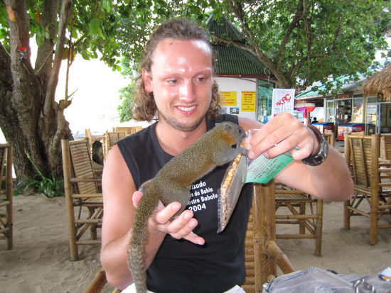 Der Kleine hat uns nicht in Ruhe gelassen