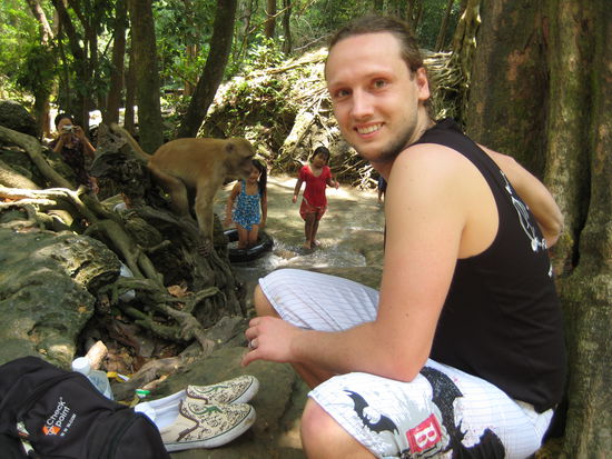 wer ist hier der Affe?