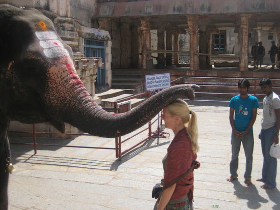 der segen des grossen ruessels!!