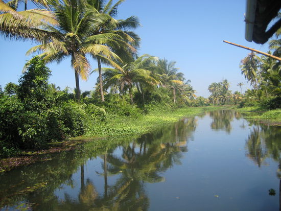 Die Backwaters, eine Oase der Ruhe