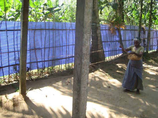 Seile aus Kokosnussfasern