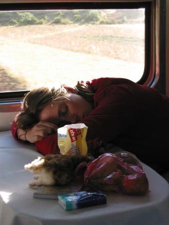 So eine Zugfahrt macht auch mal muede
Le voyage en train fatigue aussi