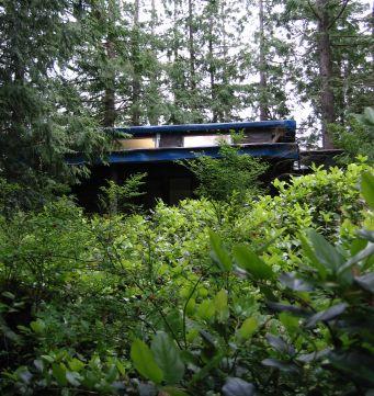Es geht nichts ueber ein kleines Haueschen im Gruenen bei Anne und Andre auf Bowen Island
La cabane au Canada, comme dirait Marie, au sein de la propriete d'Anne et Andre