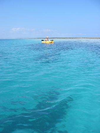 Freier Blick auf den Grund beim Kayaking, 1 Minute spaeter machts SCHWAAAPPPPPPP und wir liegen mit auf dem Grund
Vue sur les fonds aquatiques, peu de temps avant d'etre renverses
