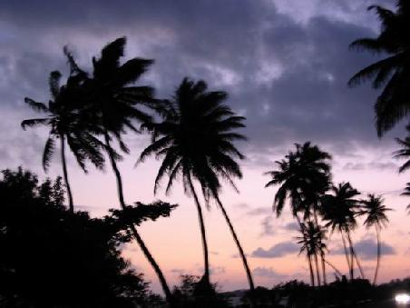 Mal wieder ein schoener Fiji-Sonnenuntergang bei Sigatoka
Et encore un coucher de soleil a Sigatoka