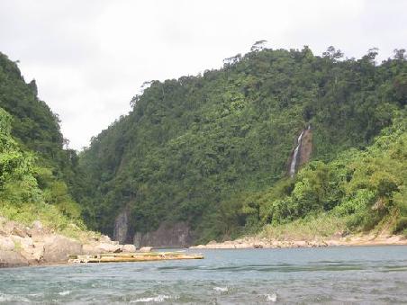 Links und rechts am Ufer zeigt sich immer dichterer Regenwald, im Vordergrund ein traditionelles Floss
Vue sur la foret tropicale avec chute d'eau et riviere, tres impressionnant
