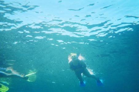 Schnorchelnd im Riff vor Sigatoka
Un peu de palmage au dessus du Riff de la cote de corail