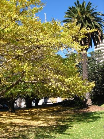 Die Herbst-/ Winterzeit zeigt die Stadt in wunderschoenen Farbtoenen, hier ein Schnappschuss in der Naehe des Uni-Campus
Vue d'automne sur un petit square de la ville