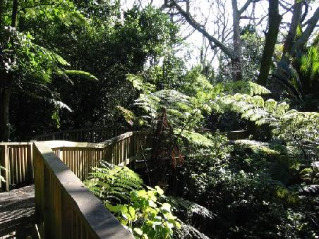 Der "Lovers Walkway" mitten in der Stadt bereitet uns schon mal Vorfreude auf die folgende ueppige Fauna und Flora Neuseelands
Le chemin des amoureux dans le parc "Auckland Domain"