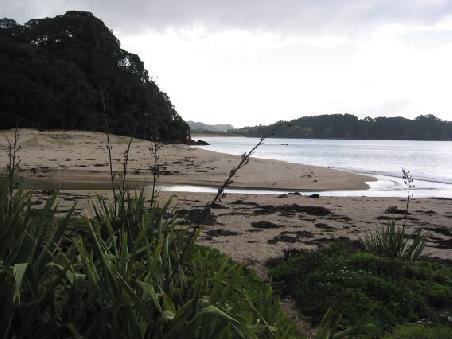 Der "Hot Water Beach"