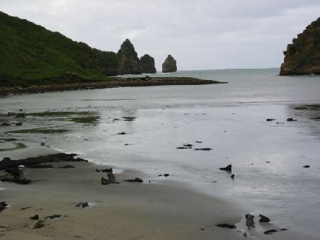 Cooks Cove bei Ebbe
Cooks Cove a maree basse
