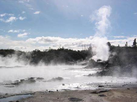 Und noch ein typisches Bild aus dem Thermalgebiet: Im Hintergrund einer der vielen Geysire
Une vue typique de la region de Rotorua et sa region thermale volcanique