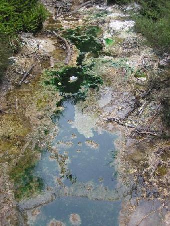 Zahlreiche Fluesse im Valley haben eine gelbe oder gruene Faerbung
Les rivieres d'eau chaude prennent une couleur verte et jaune en raison des algues et mineraux